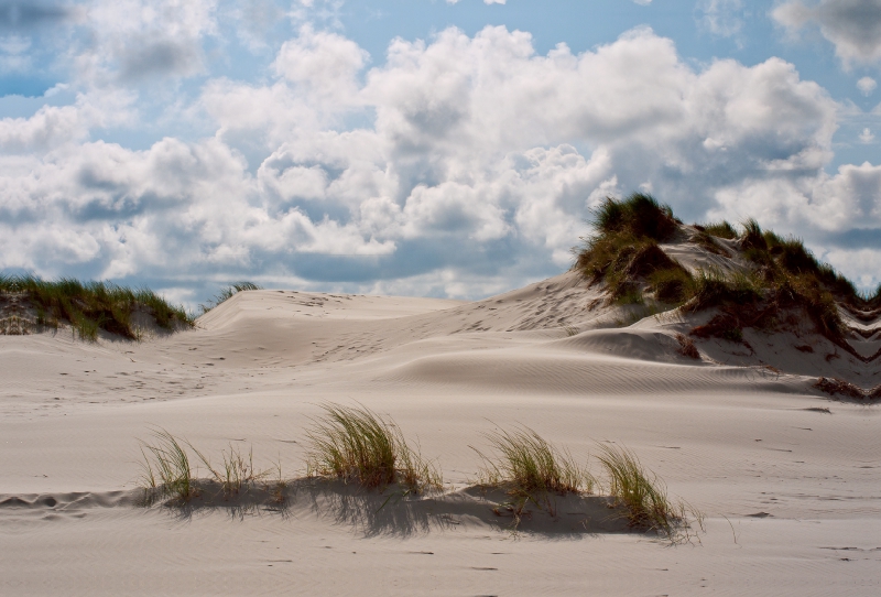 Ein Motiv aus dem Kalender Ameland