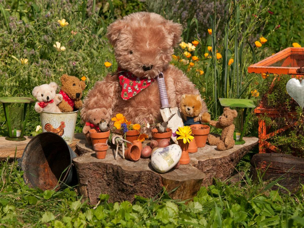 Garten-Bär