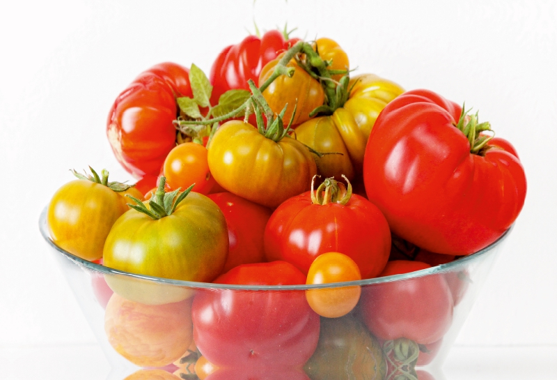 Leckere Bio Tomaten