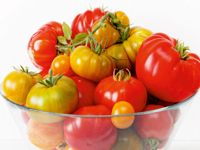 Leckere Bio Tomaten