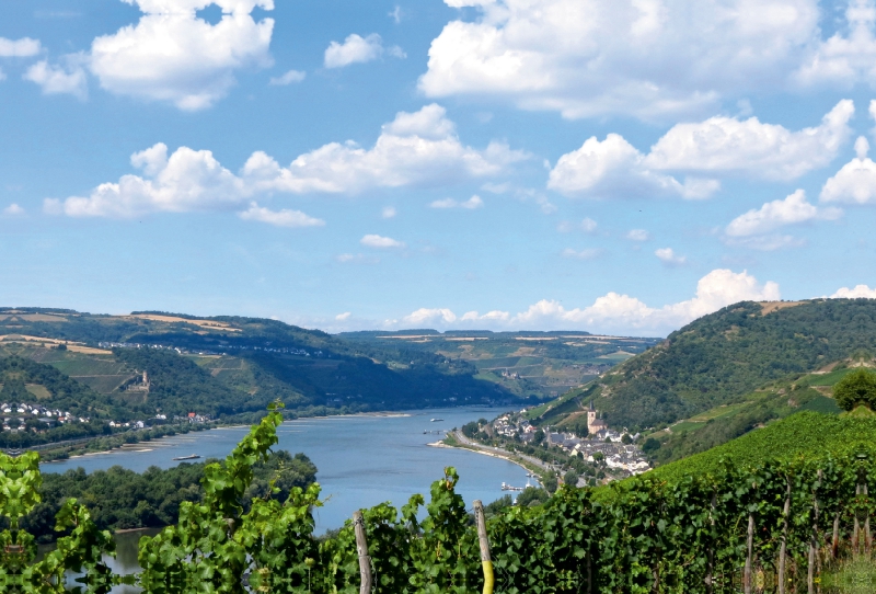 Lorch mit Blick über die Rheinhöhen