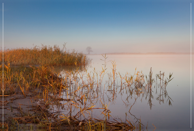 Ein Motiv aus dem Kalender Natur erleben Seewinkel-Neusiedlersee