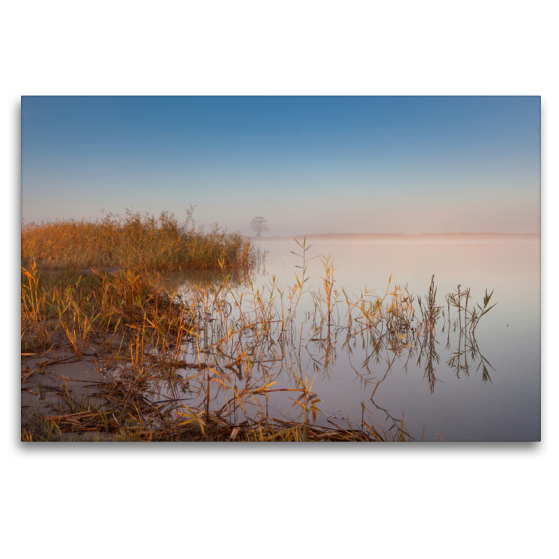 Ein Motiv aus dem Kalender Natur erleben Seewinkel-Neusiedlersee