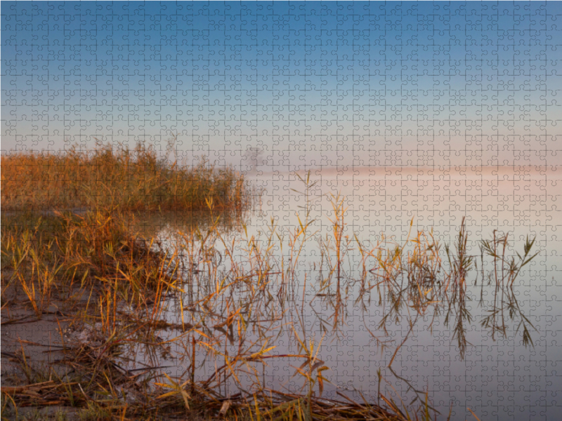 Ein Motiv aus dem Kalender Natur erleben Seewinkel-Neusiedlersee