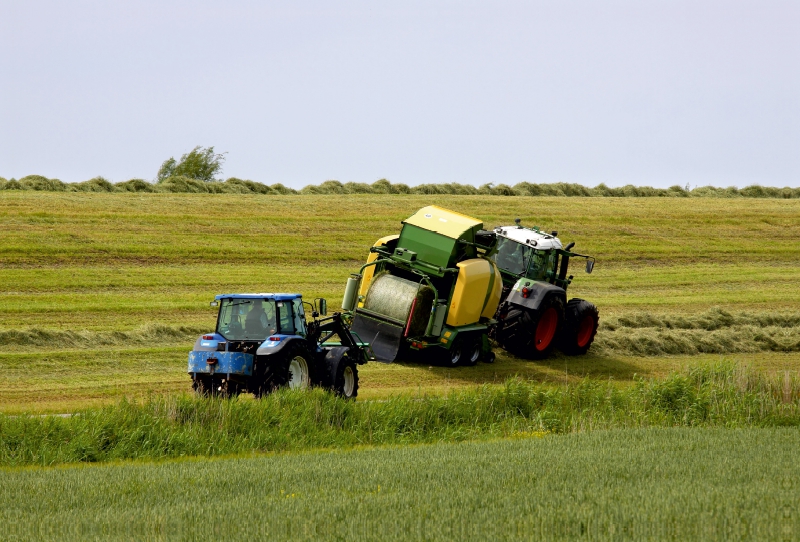 Heuballen Ernte am Deich in Ostfriesland