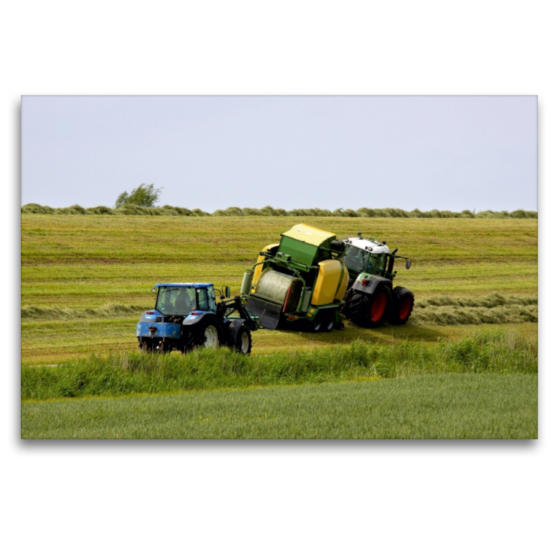 Heuballen Ernte am Deich in Ostfriesland