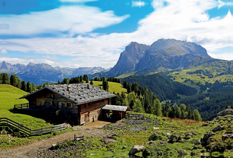 Ein Motiv aus dem Kalender Urlaub auf der Seiser Alm