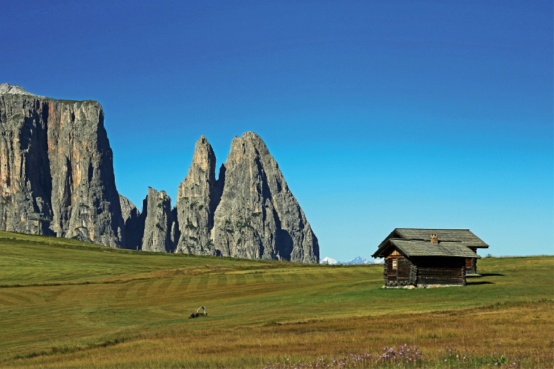 Ein Motiv aus dem Kalender Urlaub auf der Seiser Alm