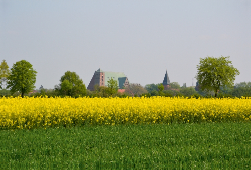 Saftige Allerwiesen