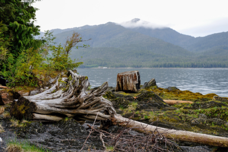 Nahe Ketchikan Alaska USA