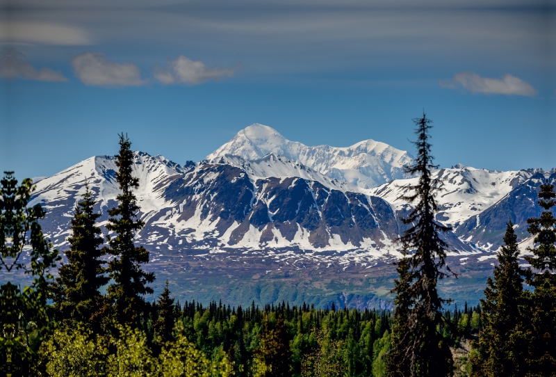 Im Denali National Park ALASKA