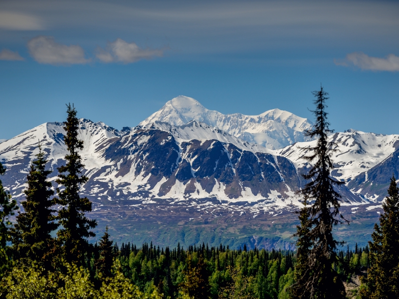 Im Denali National Park ALASKA