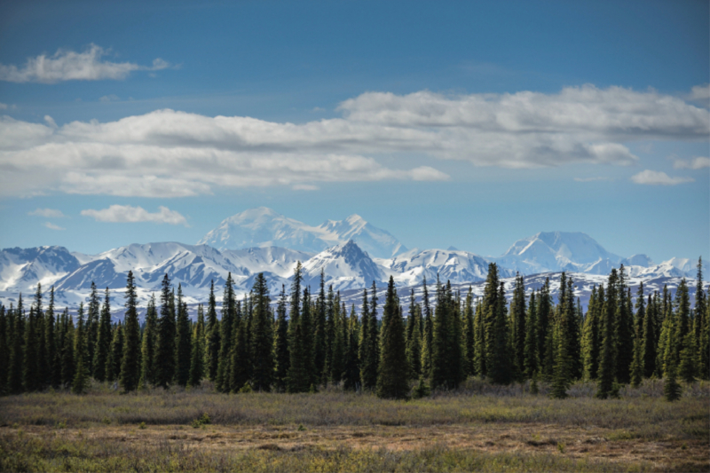 Im Denali, Alaska