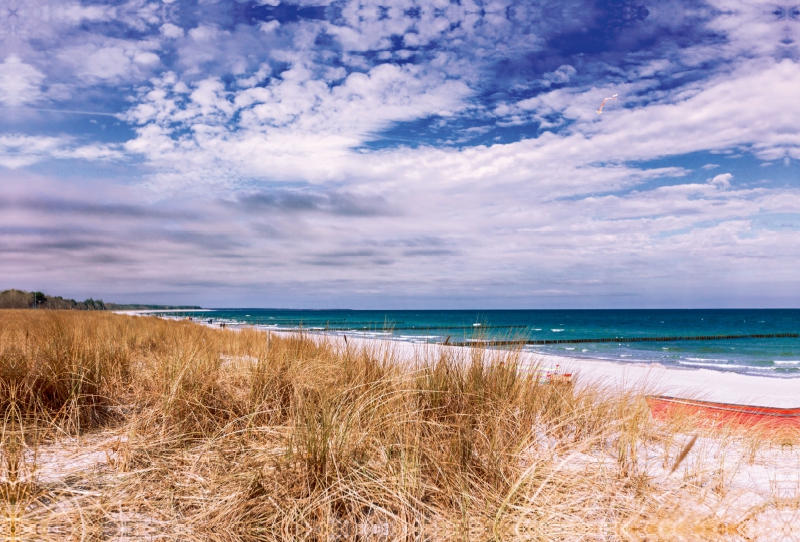 Strandabschnitt in Zingst