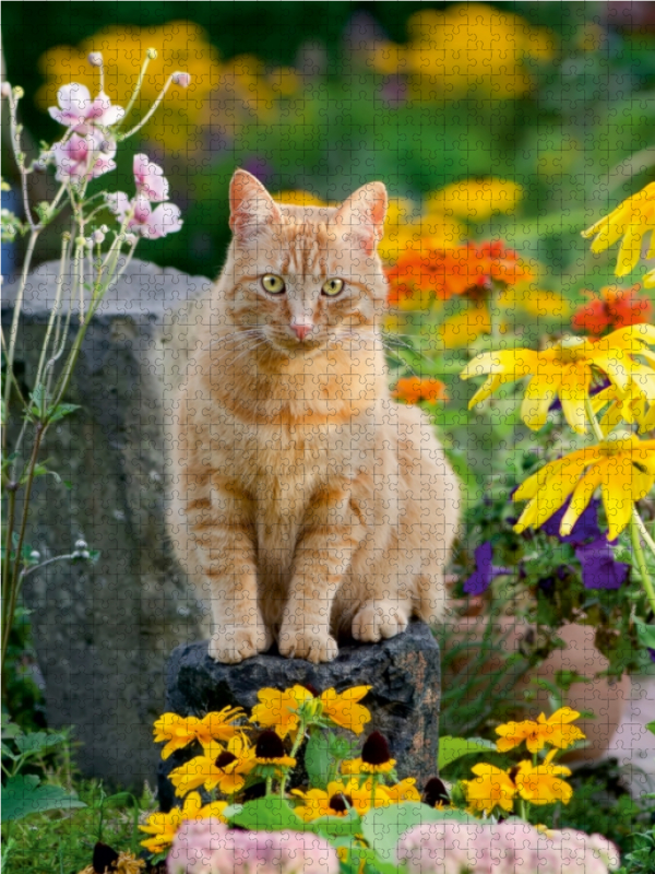 Roter Gartentiger zwischen Sommerblumen