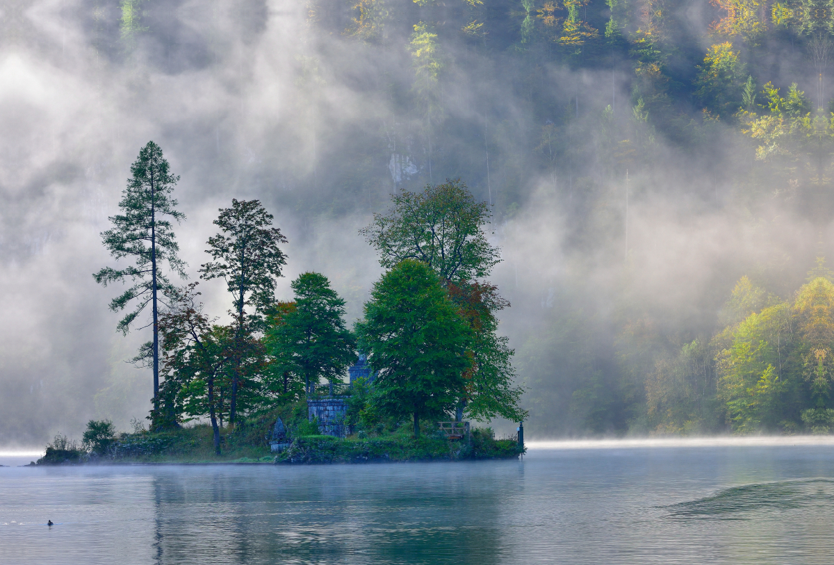 Morgennebel an der Seelände