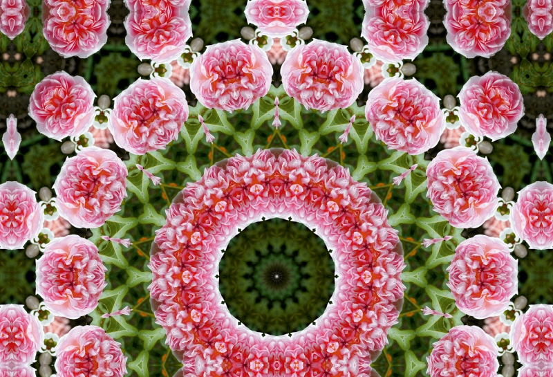 Blumen Mandala - Kaleidoskop