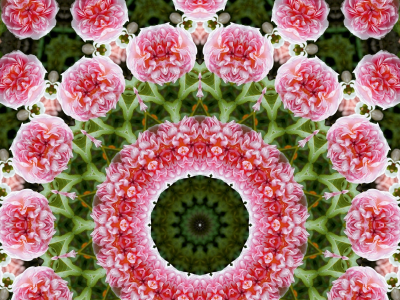 Blumen Mandala - Kaleidoskop