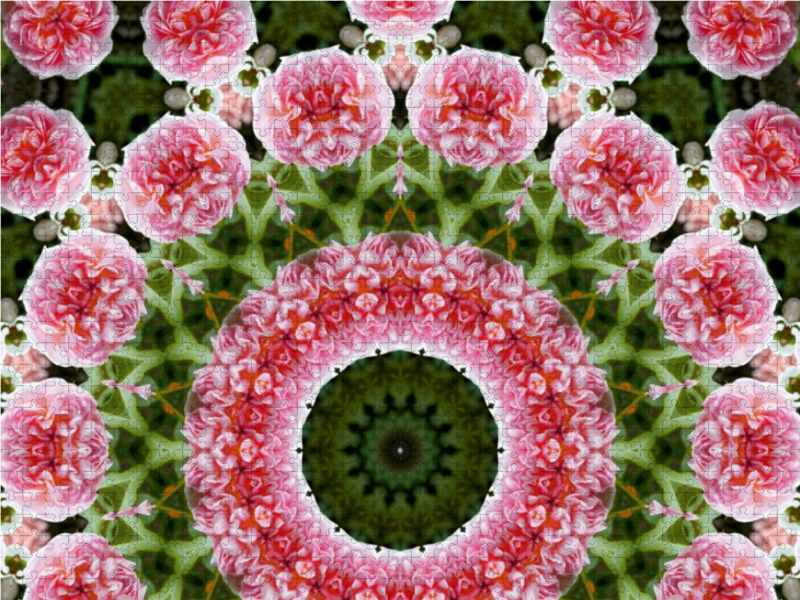 Blumen Mandala - Kaleidoskop