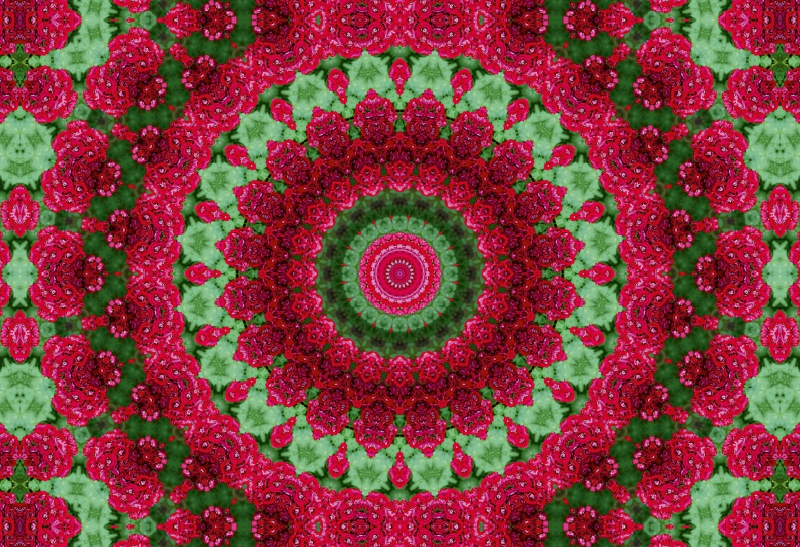 Blumen Mandala - Kaleidoskop