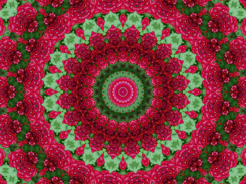 Blumen Mandala - Kaleidoskop