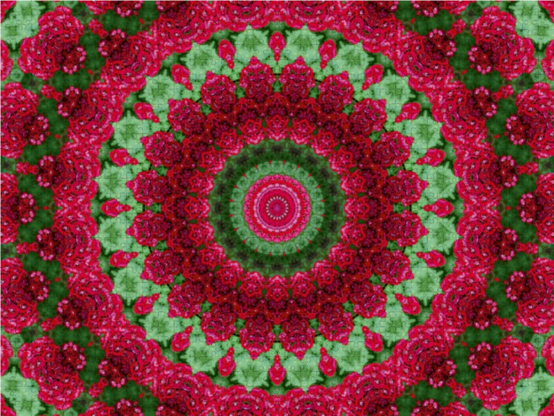 Blumen Mandala - Kaleidoskop