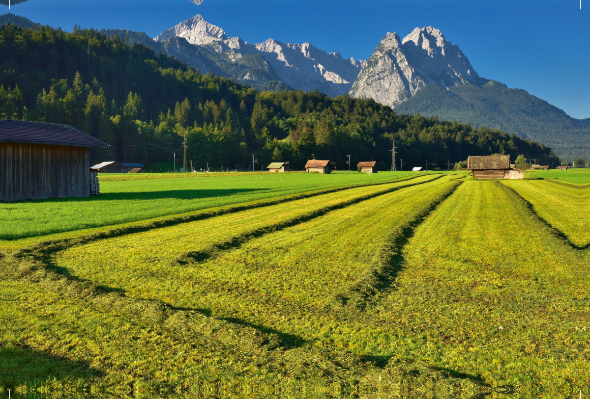 Wiesen mit Zugspitzblick