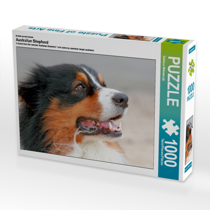 Ein Motiv aus dem Kalender Australian Shepherd