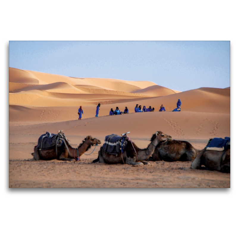 Beduinen und ihre Kamele in der Westsahara/Marokko