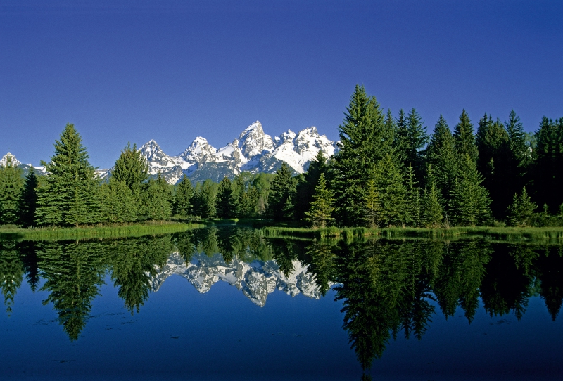 Grand Teton Nationalpark, Wyoming, USA