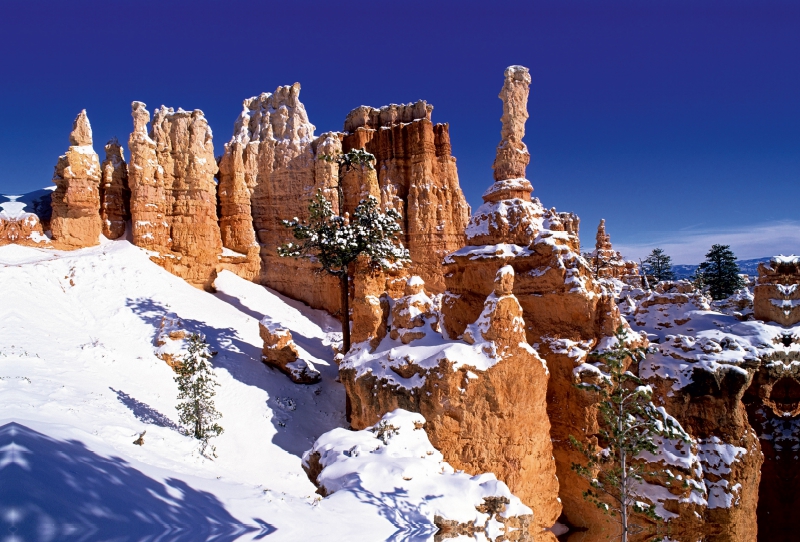 Winter im Bryce Canyon, Utah, USA