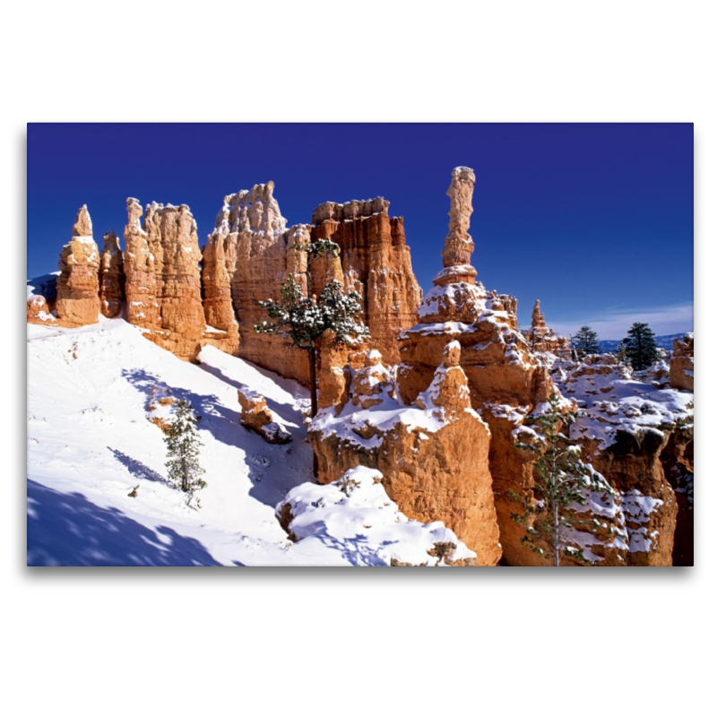 Winter im Bryce Canyon, Utah, USA