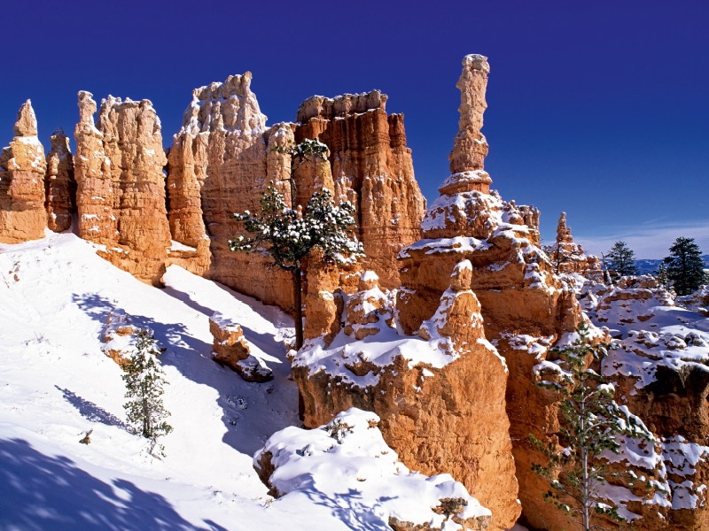 Winter im Bryce Canyon, Utah, USA