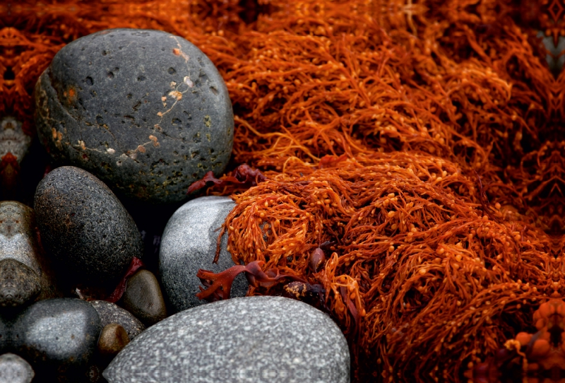 Steine am Strand, Bretagne, Frankreich