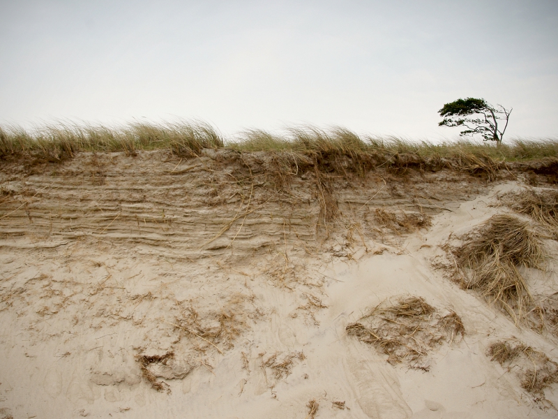 Darßer Weststrand