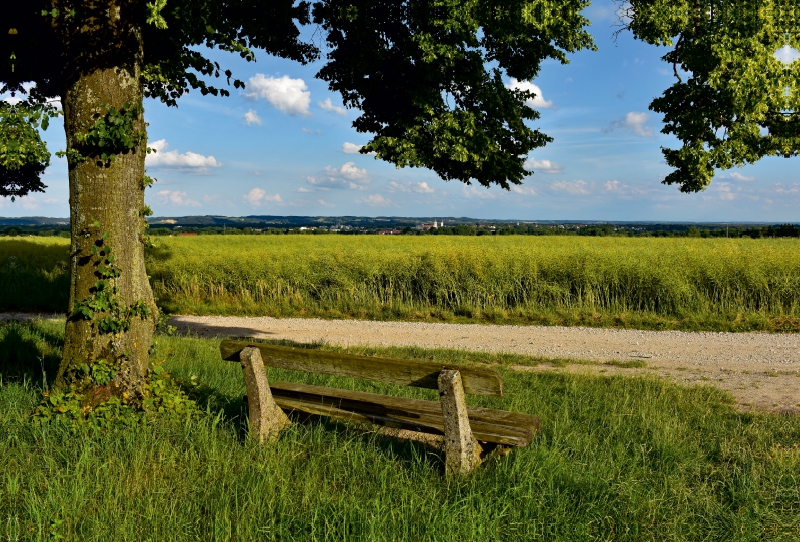 Bank mit Ausblick nach Moosburg