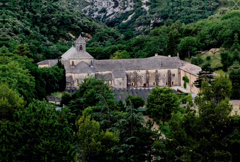 Provence - Abbaye de Sénanque