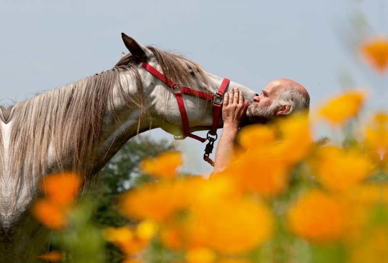 Pferd und Mensch in Harmonie