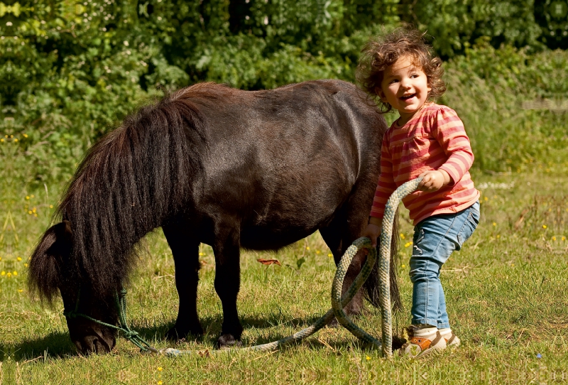 Kinderfreude mit Shetlandpony