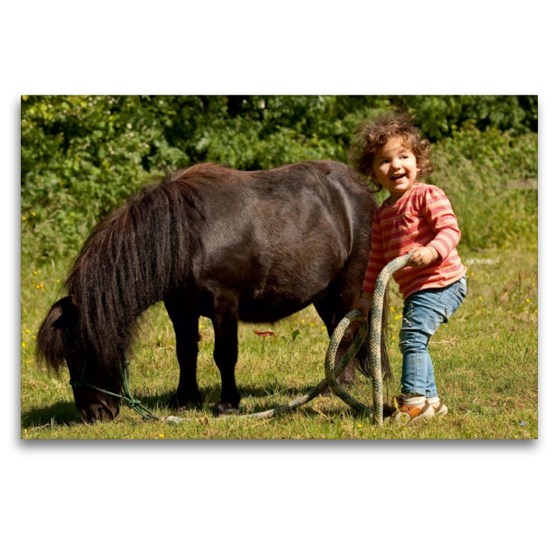 Kinderfreude mit Shetlandpony