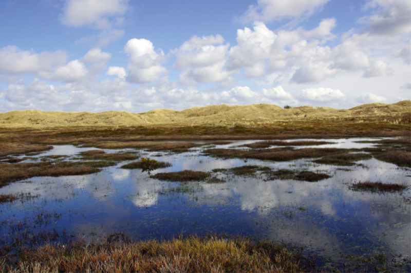 Dünen am Radweg nach Hvide Sande