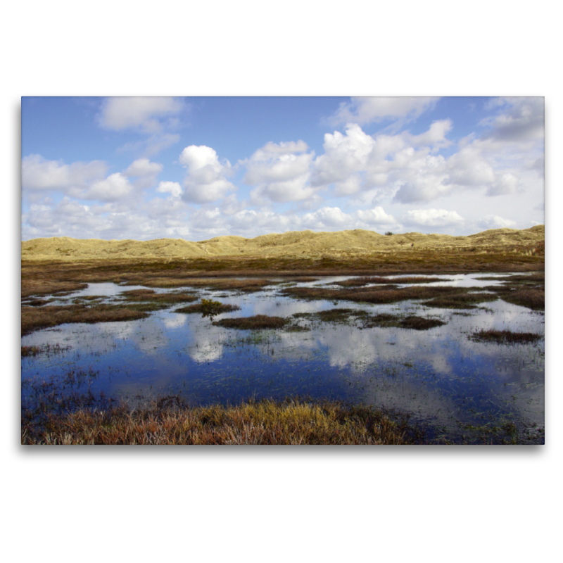 Dünen am Radweg nach Hvide Sande