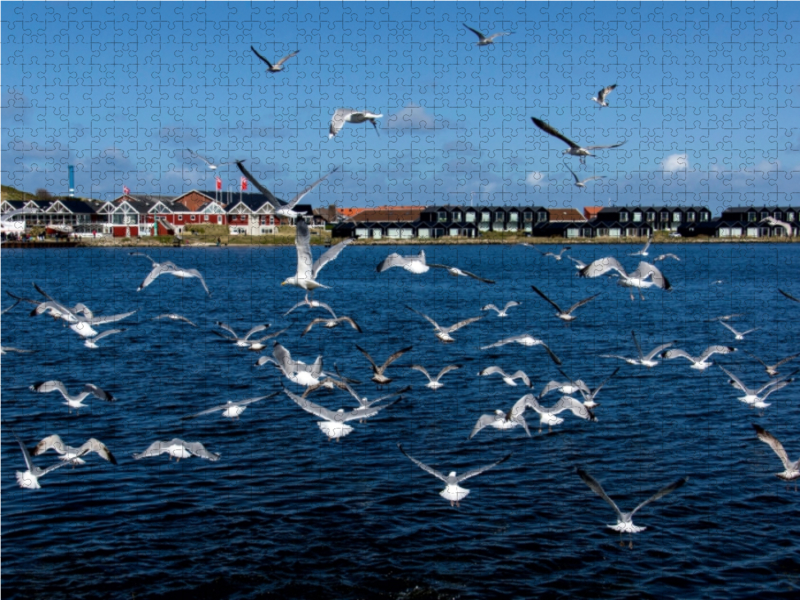 Hafen in Hvide Sande