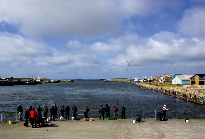 Angler in Hafen von Hvide Sande