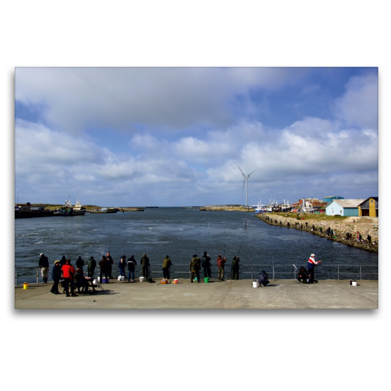 Angler in Hafen von Hvide Sande