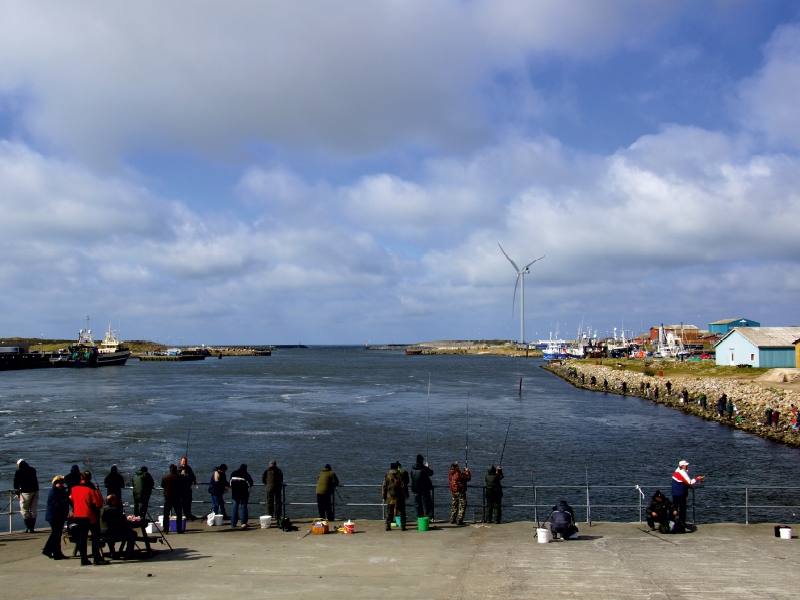 Angler in Hafen von Hvide Sande