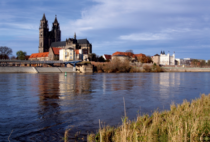 Blick auf Elbe und Dom