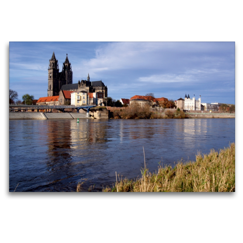 Blick auf Elbe und Dom