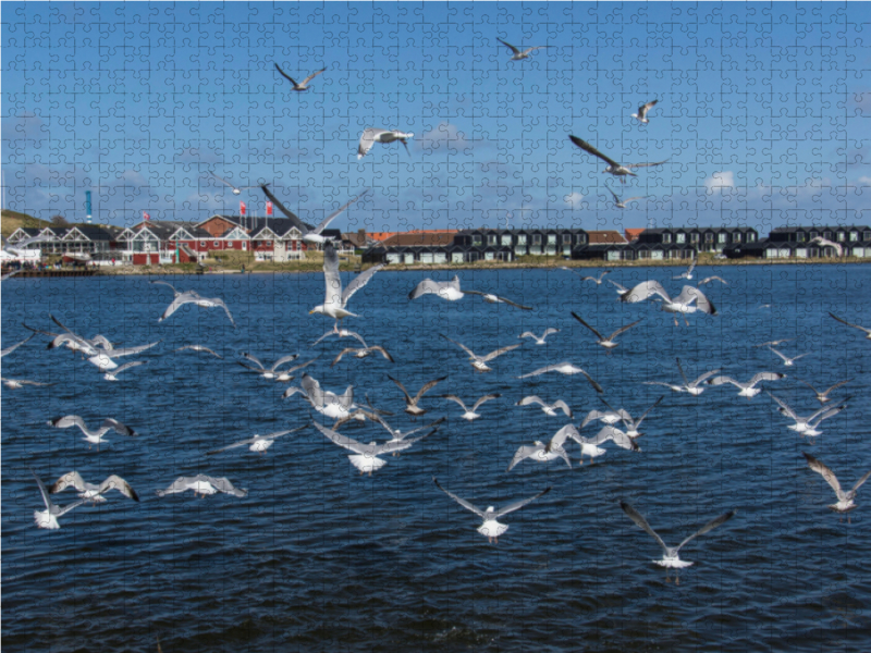 Hafen in Hvide Sande