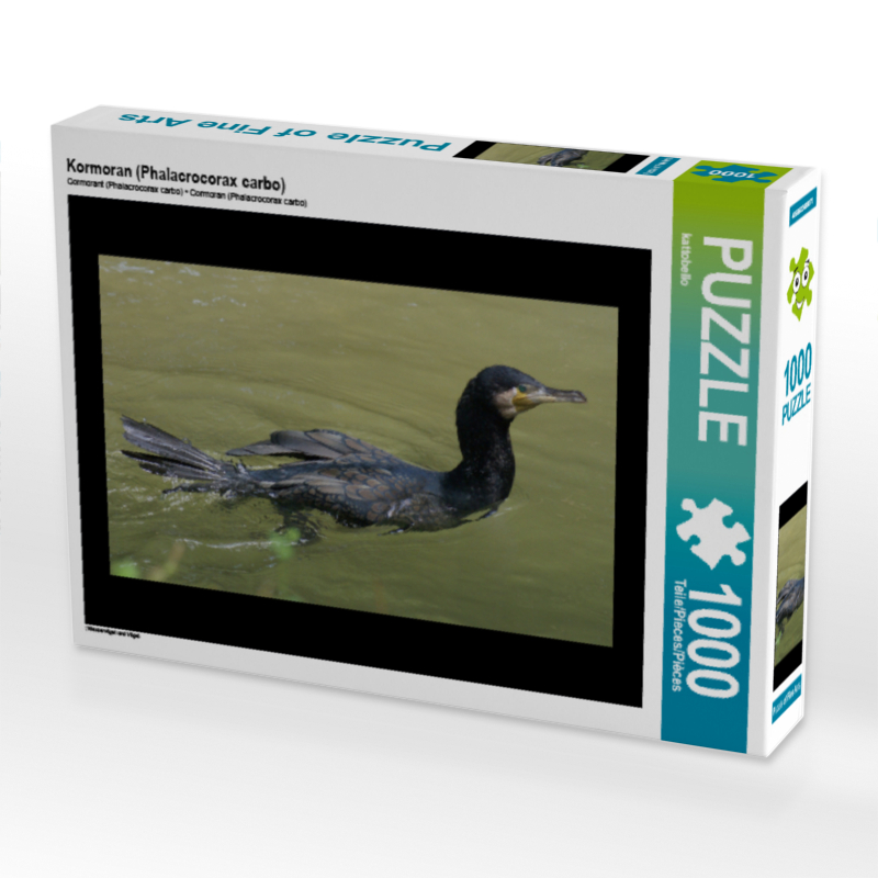 Kormoran (Phalacrocorax carbo)